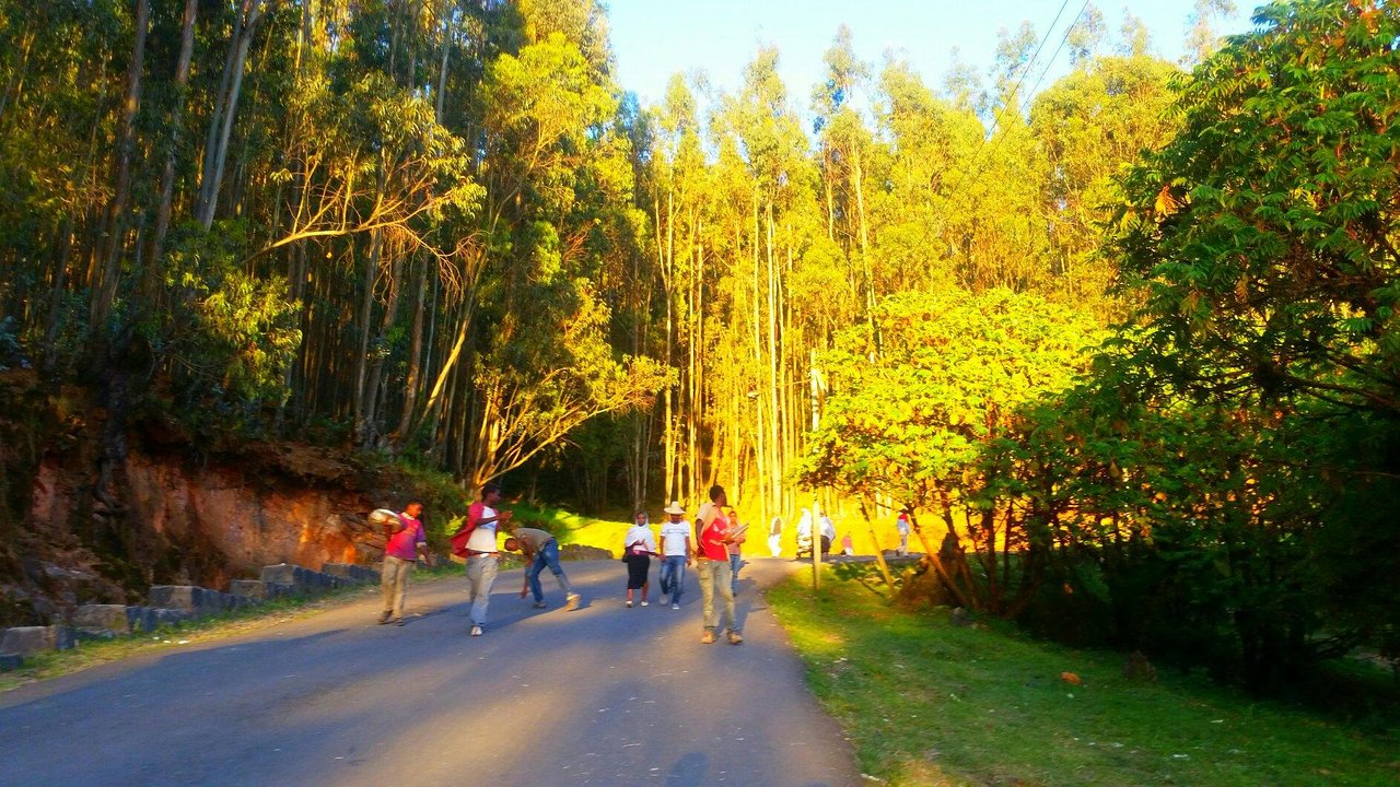 Entoto Hills