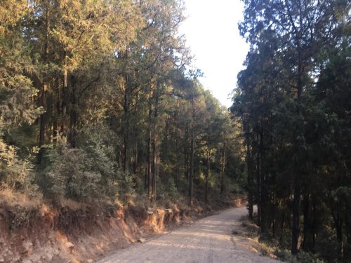 Entoto Hills